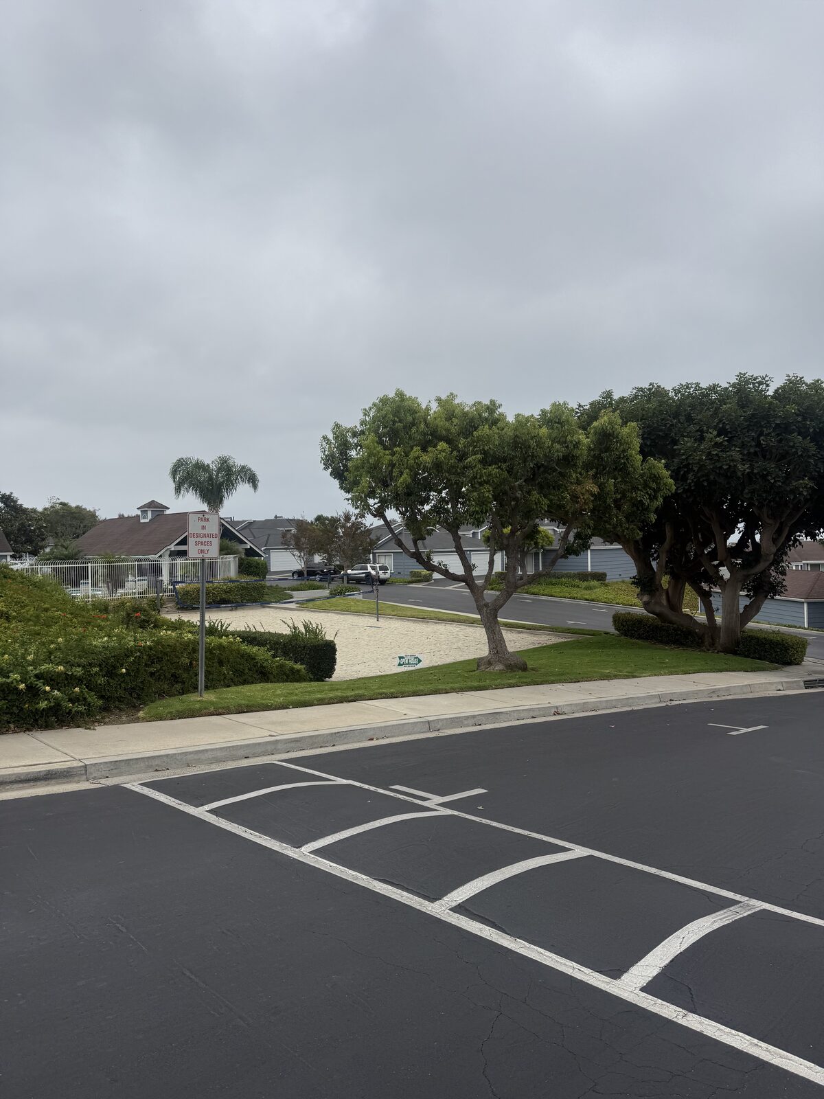 Court view